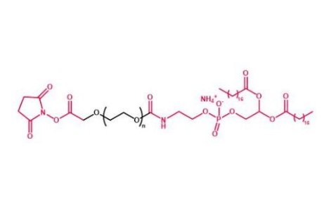 DSPE-PEG-NHS,磷脂聚乙二醇活性酯 R-965902