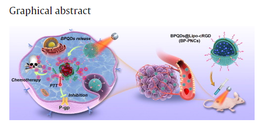 DSPE-PEG2000-cRGD 靶向修饰黑磷量子点脂质纳米胶囊