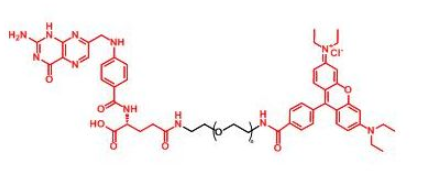 RB-PEG-FA，罗丹明聚乙二醇叶酸 R-317162