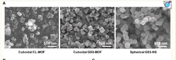 Cuboidal tethered cyclodextrin frameworks tailored for hemostasis and injured vessel targeting 配图