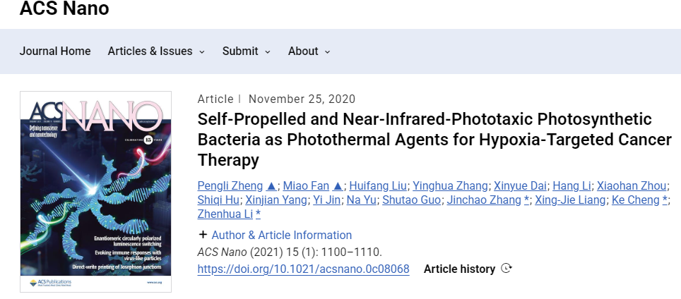 Self-Propelled and Near-Infrared-Phototaxic Photosynthetic Bacteria as Photothermal Agents for Hypoxia-Targeted Cancer Therapy 配图