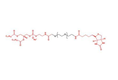 DSPE-PEG-Biotin,磷脂聚乙二醇生物素 R-836968