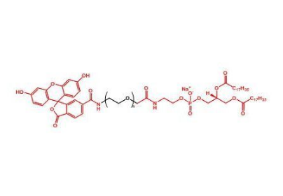 DSPE-PEG-FITC,磷脂-聚乙二醇-荧光素 R-494769