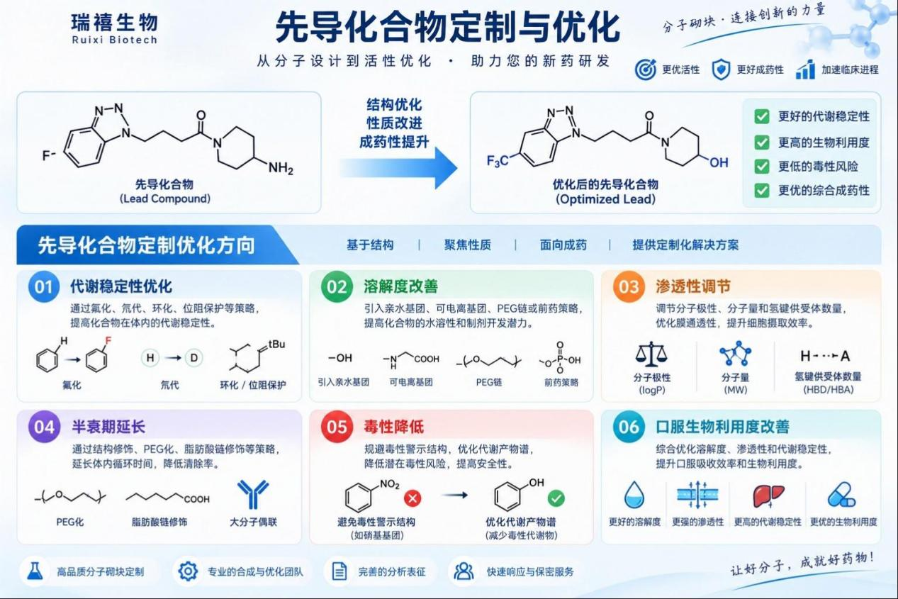 先导化合物定制