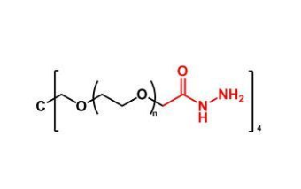 4Arm-PEG-Hydrazide,四臂聚乙二醇酰肼 R-853368