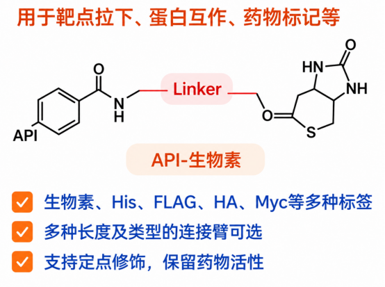 API生物素化及功能标签定制