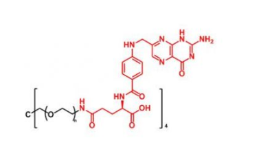 4ARM-PEG-Folate,四臂聚乙二醇叶酸 R-169930