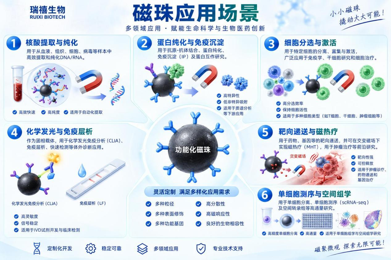 磁珠应用场景