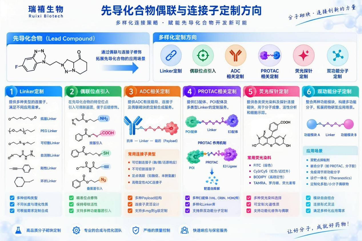 偶联与连接子定制
