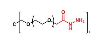 4Arm-PEG-Hydrazide,四臂聚乙二醇酰肼 R-465968