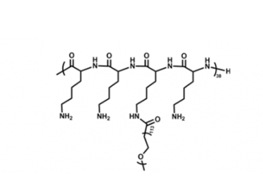 PLL(20)-g[3.3]-PEG(5),聚L-赖氨酸接枝甲氧基聚乙二醇衍生物 R-261839