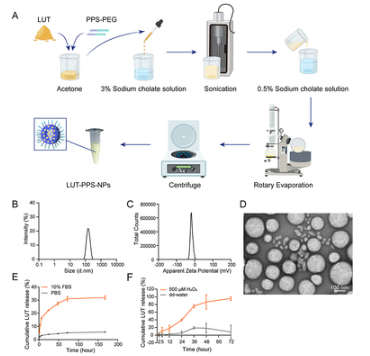 Luteolin-Loaded Nanoparticles for the Treatment of Melanoma 配图