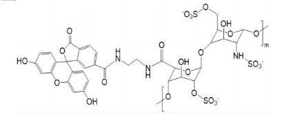FITC-Heparin，异硫氰酸荧光素标记肝素 R-813843