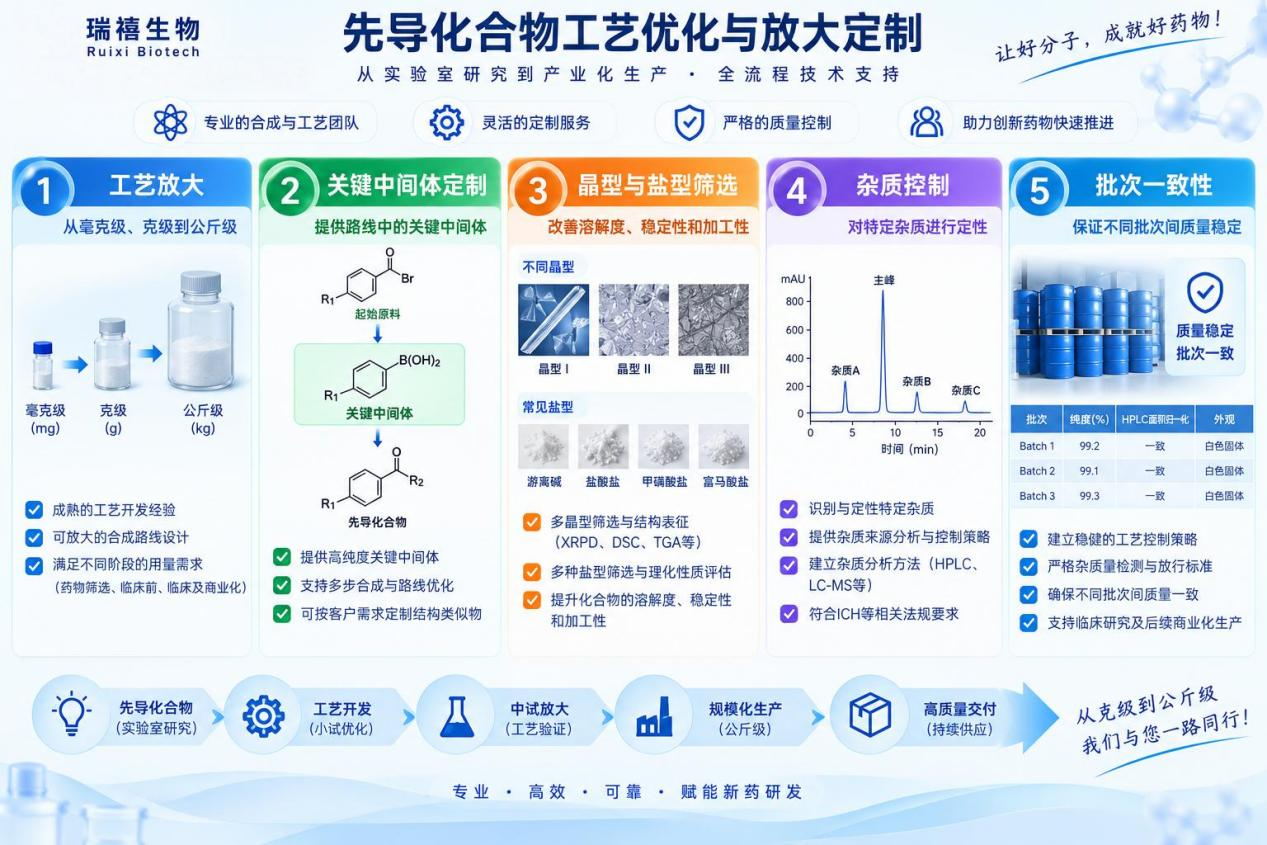 先导化合物工艺优化与放大定制