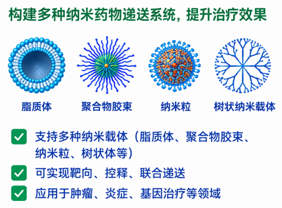 API纳米载药体系定制