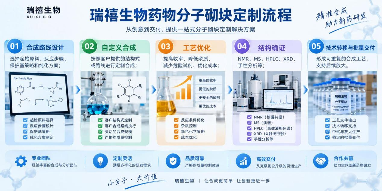药物分子砌块按路线设计与合成服务定制