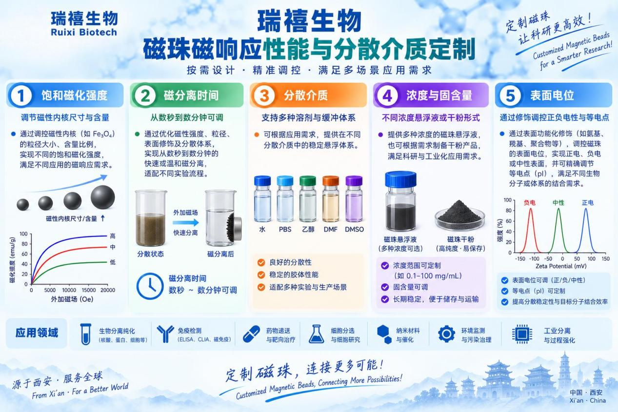 磁响应性能与分散介质定制