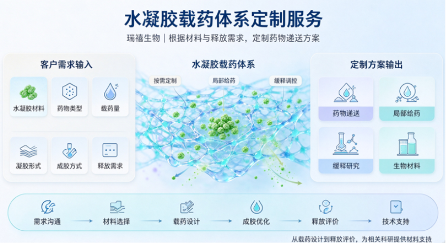 水凝胶载药体系定制