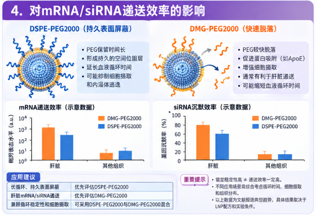 递送效率影响