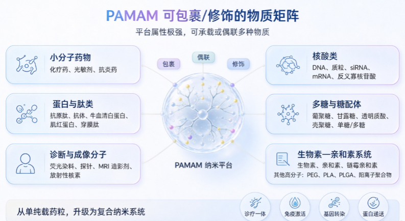 PAMAM可包裹/修饰的物质
