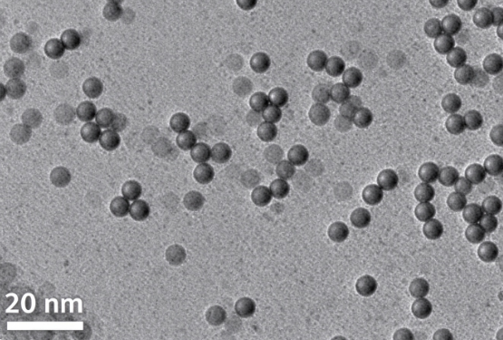 生物素修饰银纳米颗粒，Biotin-AgNPs R-155928