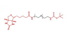 Biotin-PEG-NH-Boc,生物素聚乙二醇叔丁氧羰基 R-500021
