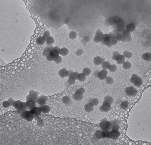 钯纳米颗粒，水溶性纳米钯粒子，纳米钯溶液胶体 R-999433