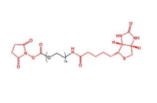 NHS-PEG-Biotin,活性酯聚乙二醇生物素 R-477474