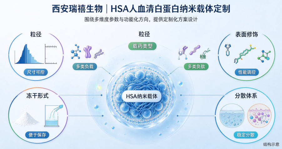 HSA人血清白蛋白纳米载体定制