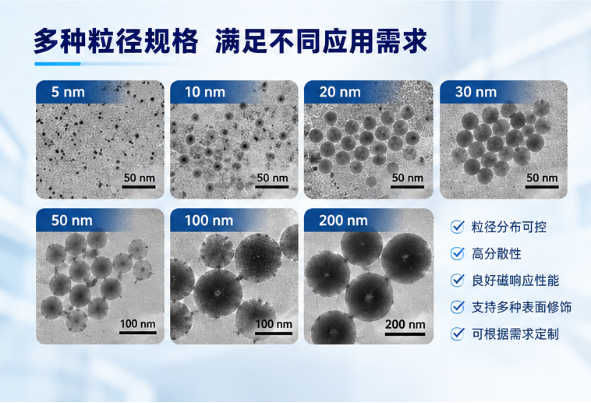 磁性纳米颗粒