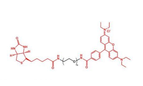 Biotin-PEG-Rhodamine,生物素聚乙二醇罗丹明 R-851801