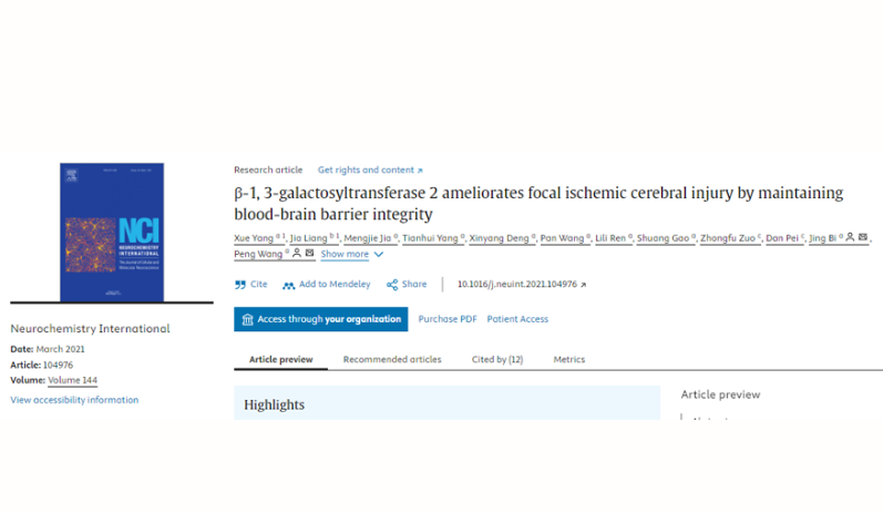 β-1, 3-galactosyltransferase 2 ameliorates focal ischemic cerebral injury by maintaining blood-brain barrier integrity  配图