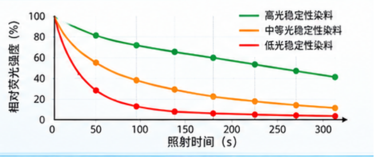 荧光标记定制中染料