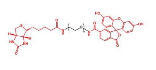 Biotin-PEG-FITC,生物素聚乙二醇荧光素 R-690543