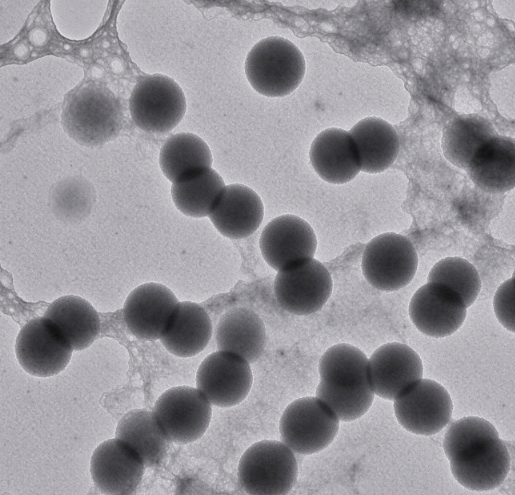 纳米钯粉10nm-5μm纳米钯颗粒可选 高纯钯粉 Pd R-818645
