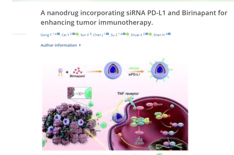 A nanodrug incorporating siRNA PD-L1 and Birinapant for enhancing tumor immunotherapy
