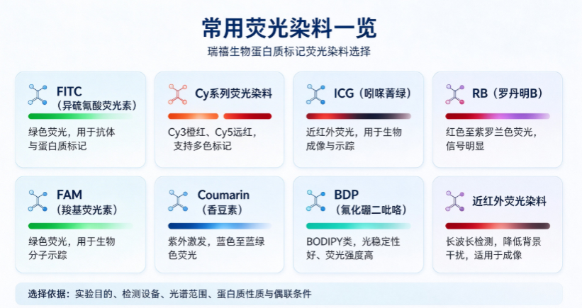 荧光染料