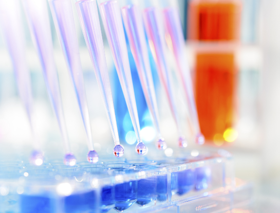 瑞禧生物定制荧光标记聚氨基酸——PLL、PGA、PASP一站式解决方案