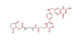 NHS-PEG-FA,活性酯聚乙二醇叶酸 R-842812