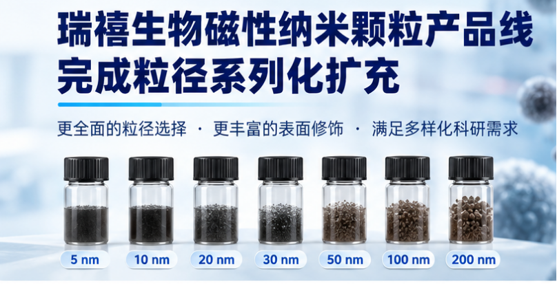 磁性纳米颗粒