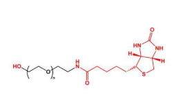 HO-PEG-Biotin,羟基聚乙二醇生物素 R-822510