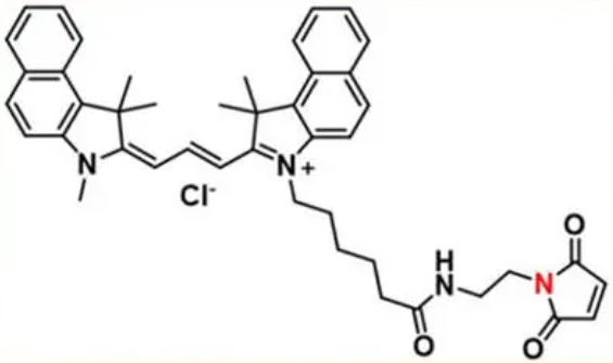 Cy3.5-Mal，Cy3.5-马来酰亚胺，Cyanine3.5 maleimide R-801207