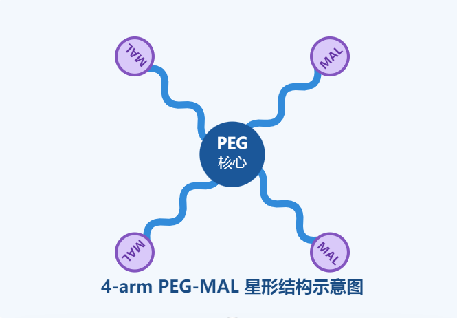 4-arm PEG-MAL构建巯基交联水凝胶的关键因素配图
