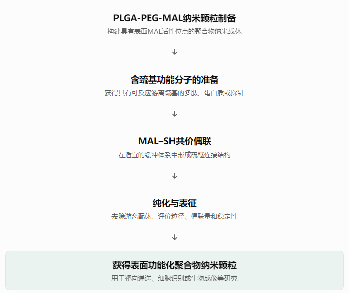 表面偶联的基本流程