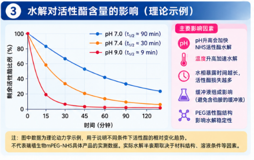 mPEG-NHS水解对蛋白PEG化反应效率的影响