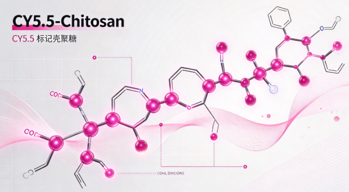 CY5.5-Chitosan，CY5.5标记壳聚糖 R-438475