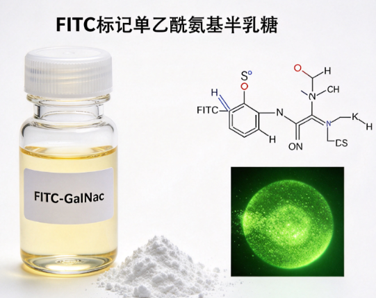 FITC-GalNAc，FITC标记单乙酰氨基半乳糖 R-897232