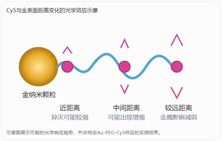 Cy5与金表面距离变化的光学效应示意