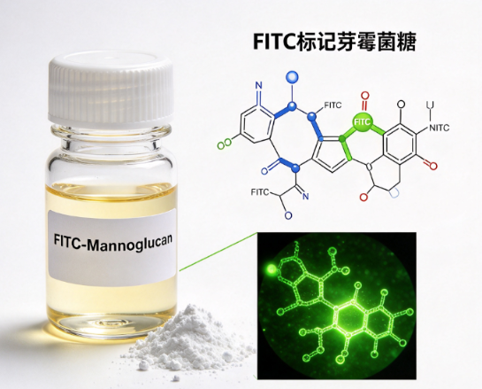 FITC-Mannoglucan，FITC标记芽霉菌糖 R-647151