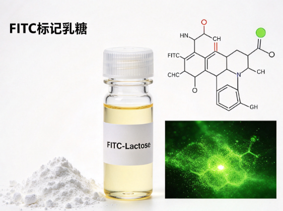 FITC-Lactose，FITC标记乳糖 R-127187